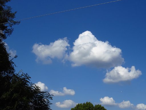 【雲】空に向けて