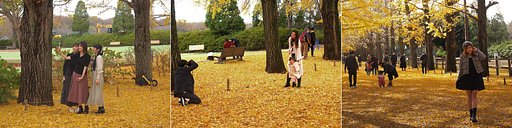 11月23日の写真