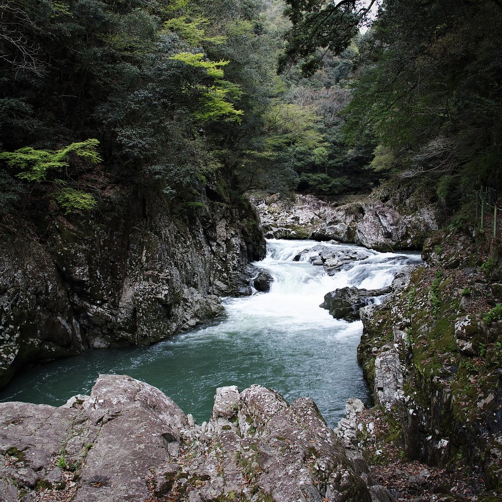 渓谷