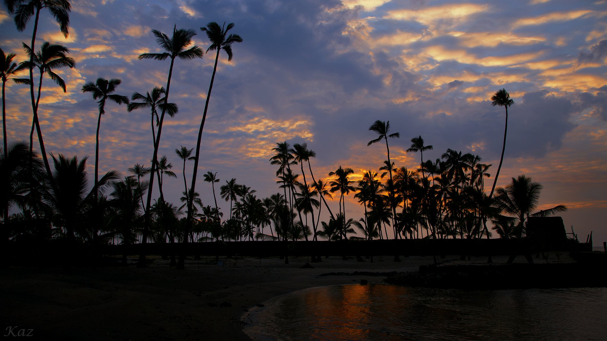 落陽  5