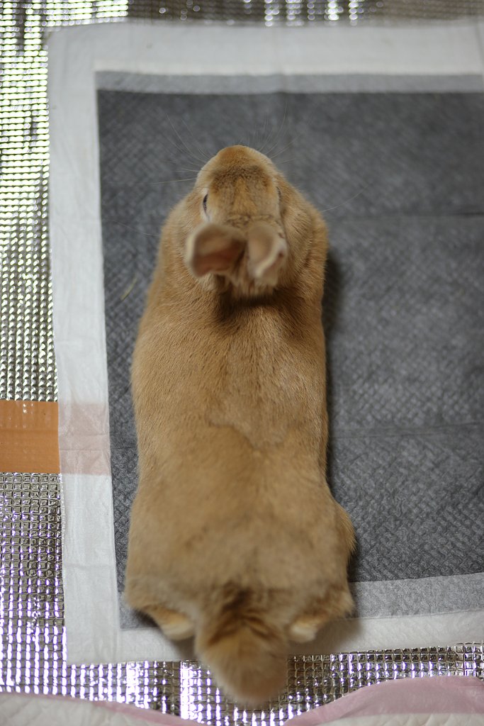 まったり