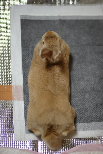 まったり