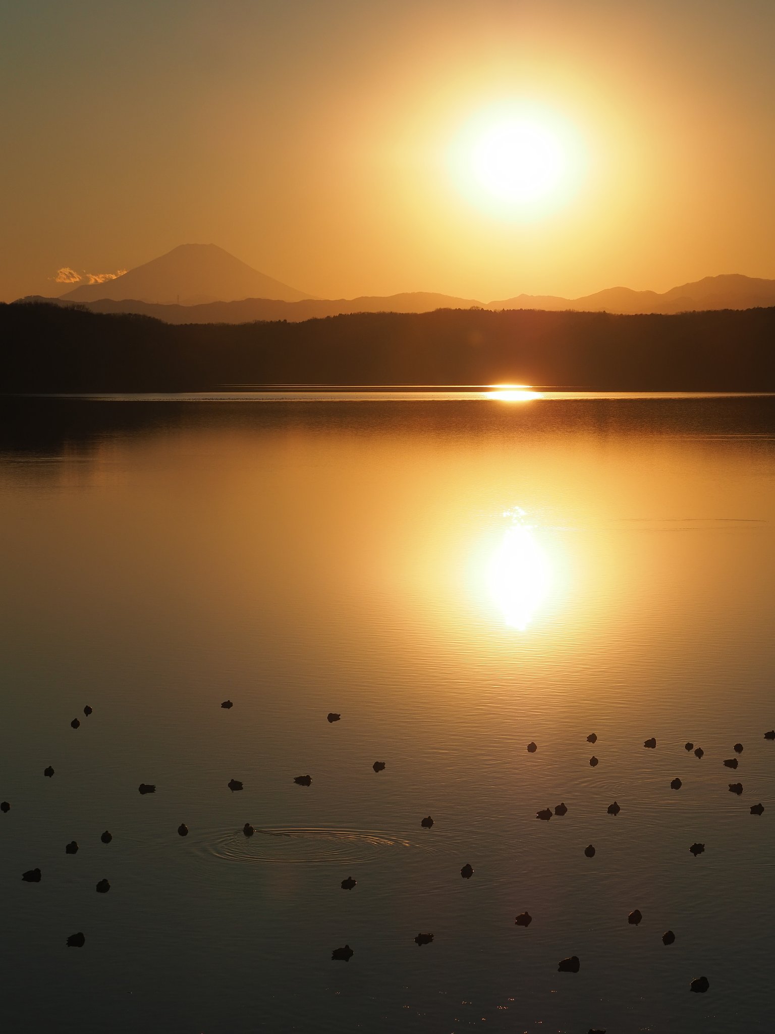 夕染めの風景～予告編～