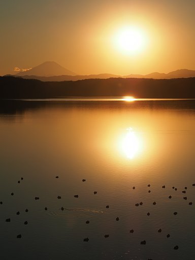 夕染めの風景～予告編～