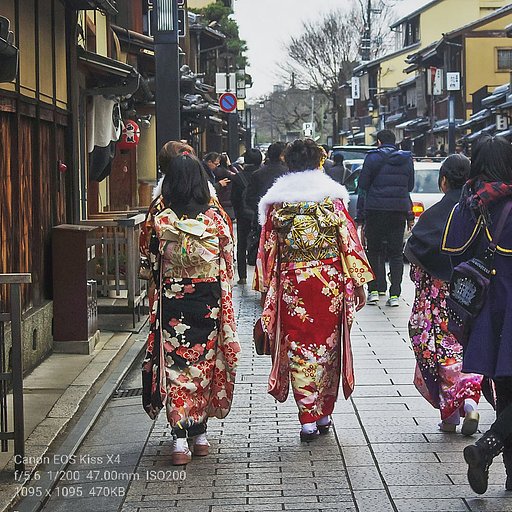 【1月に】優しく揺れる振り袖姿