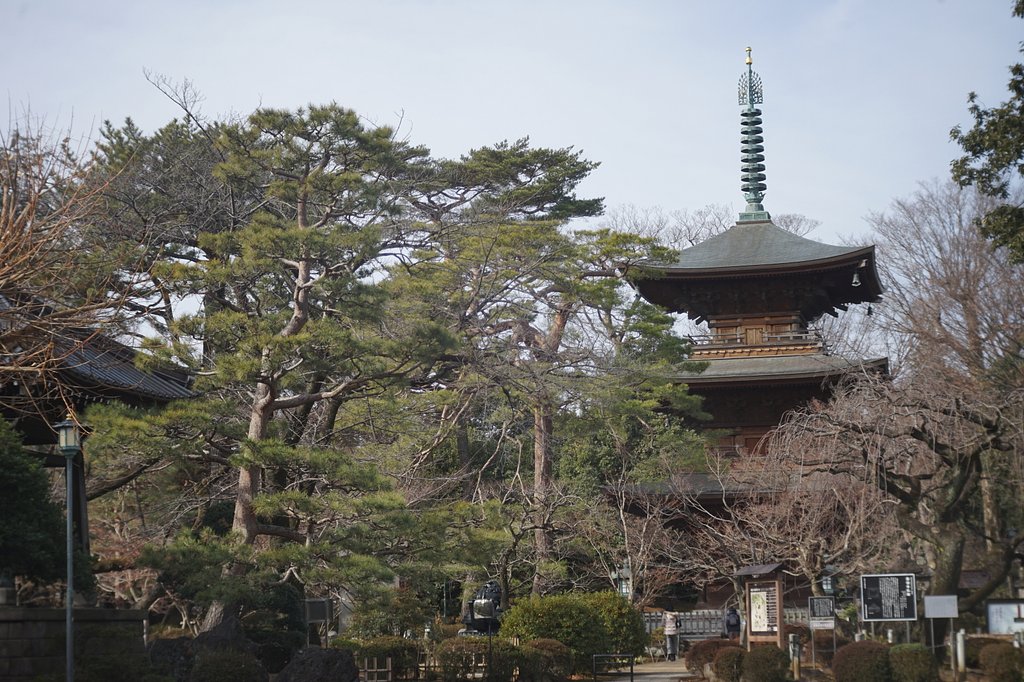 豪徳寺三重塔