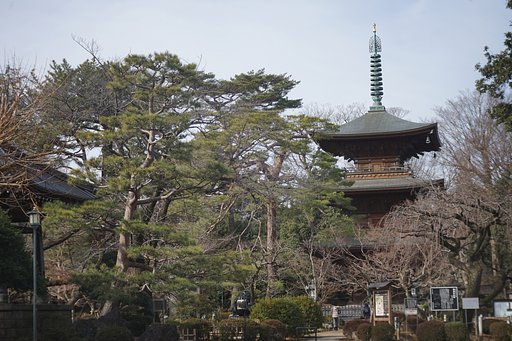 豪徳寺三重塔