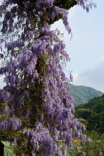 1月9日の写真