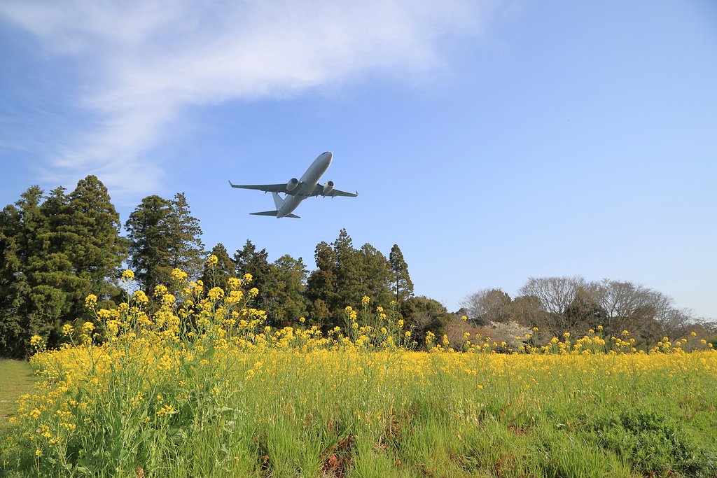 空の駅風和里しばやま