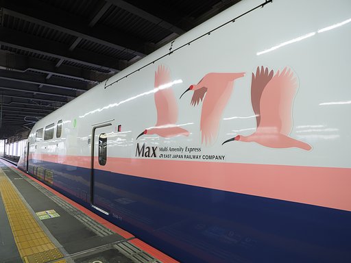 3月20日の写真