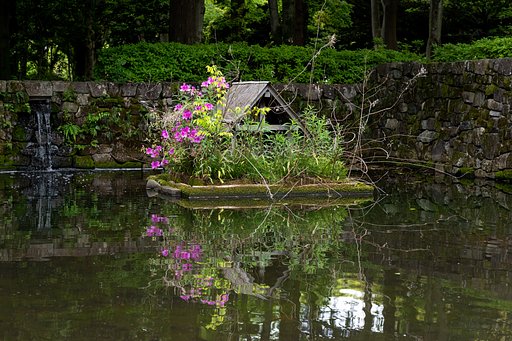 カモ小屋にツツジ