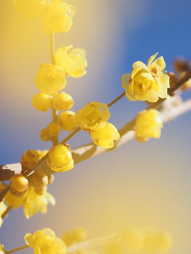 1月22日の写真