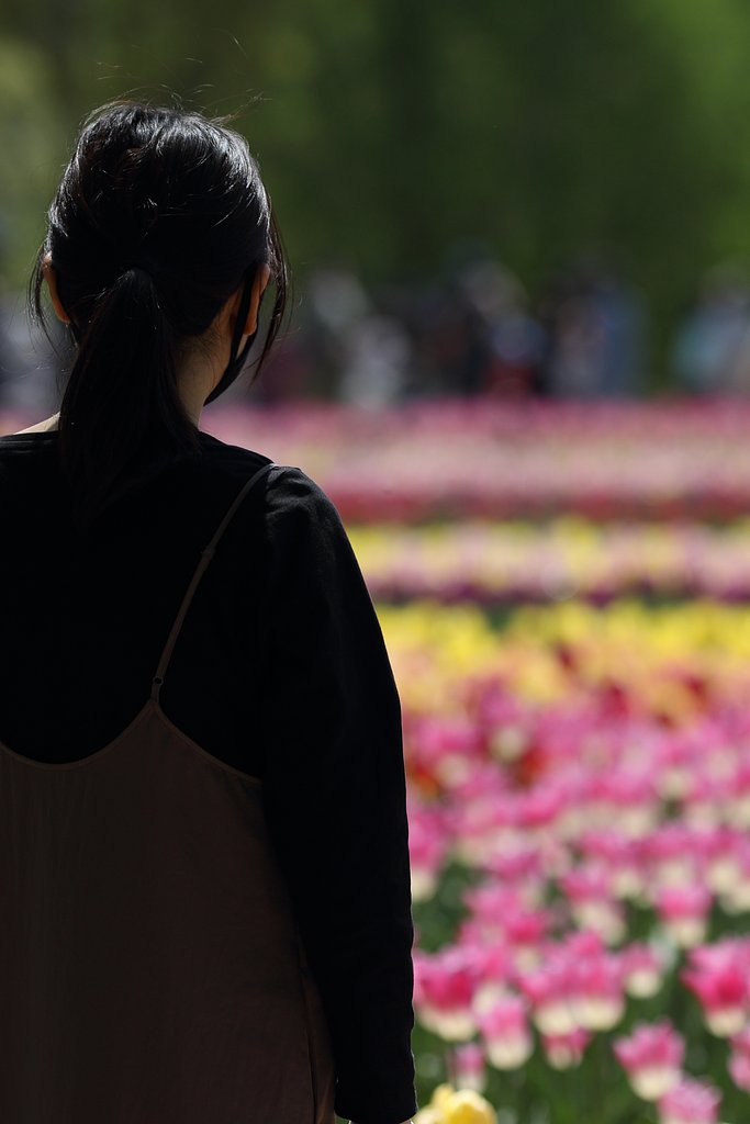 爽やか美人百景　～華やかにあるいはシックに～