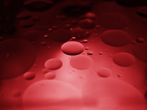 TablePhoto 