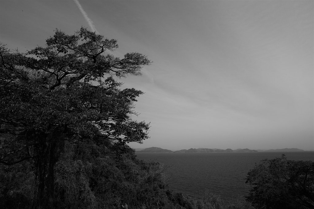 空