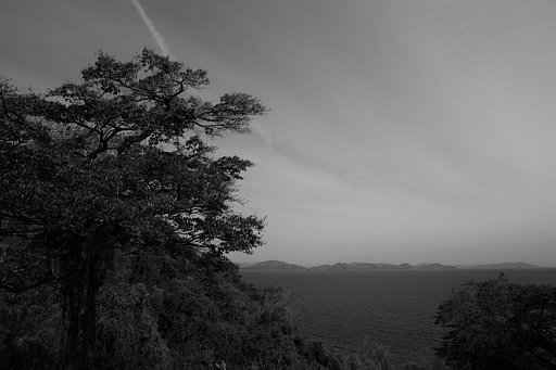 4月1日の写真