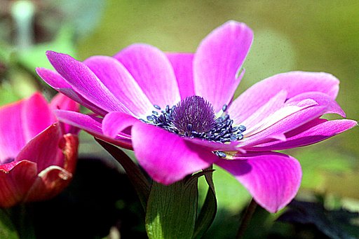 Tamron 90mmF2.8 Macro  172E