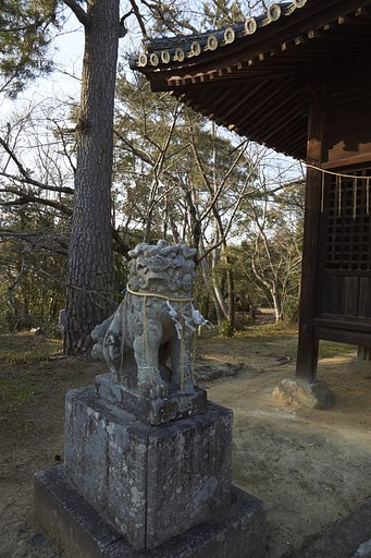 雑感