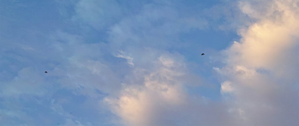 明けの空