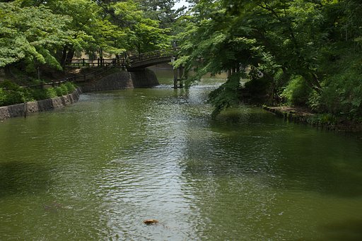 5月25日の写真