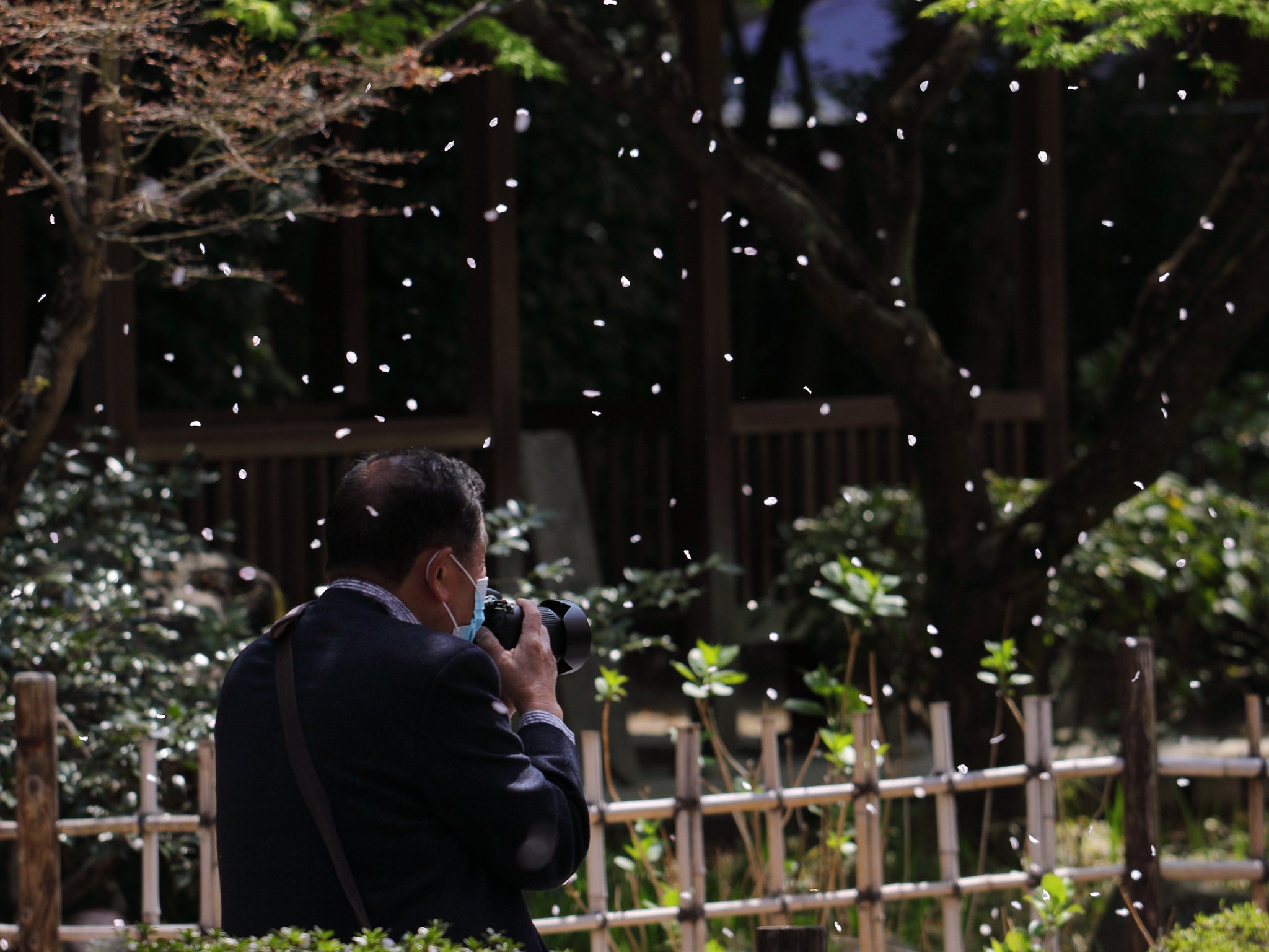 これぞ男の花道言うことなし　2022春