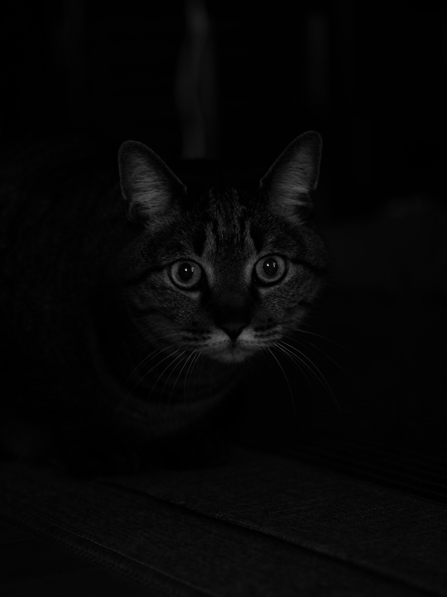 Face