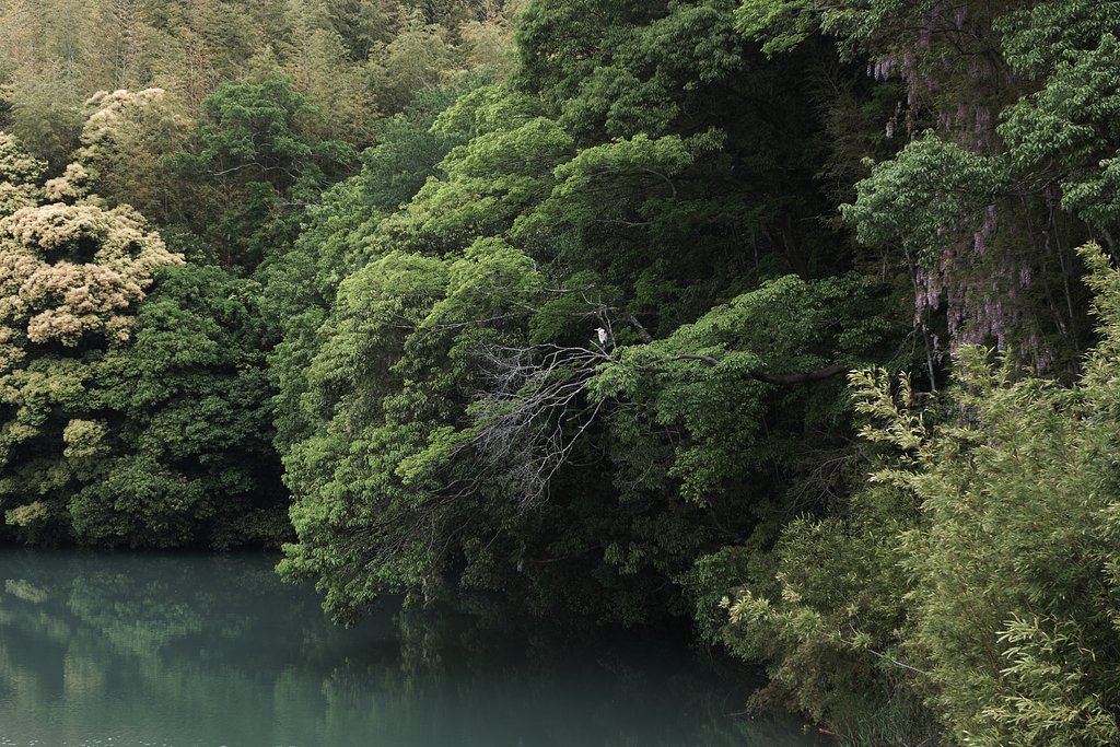【生き物景色】 写真①