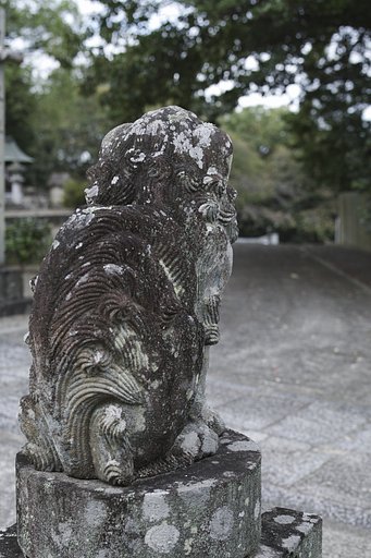 古い撮影