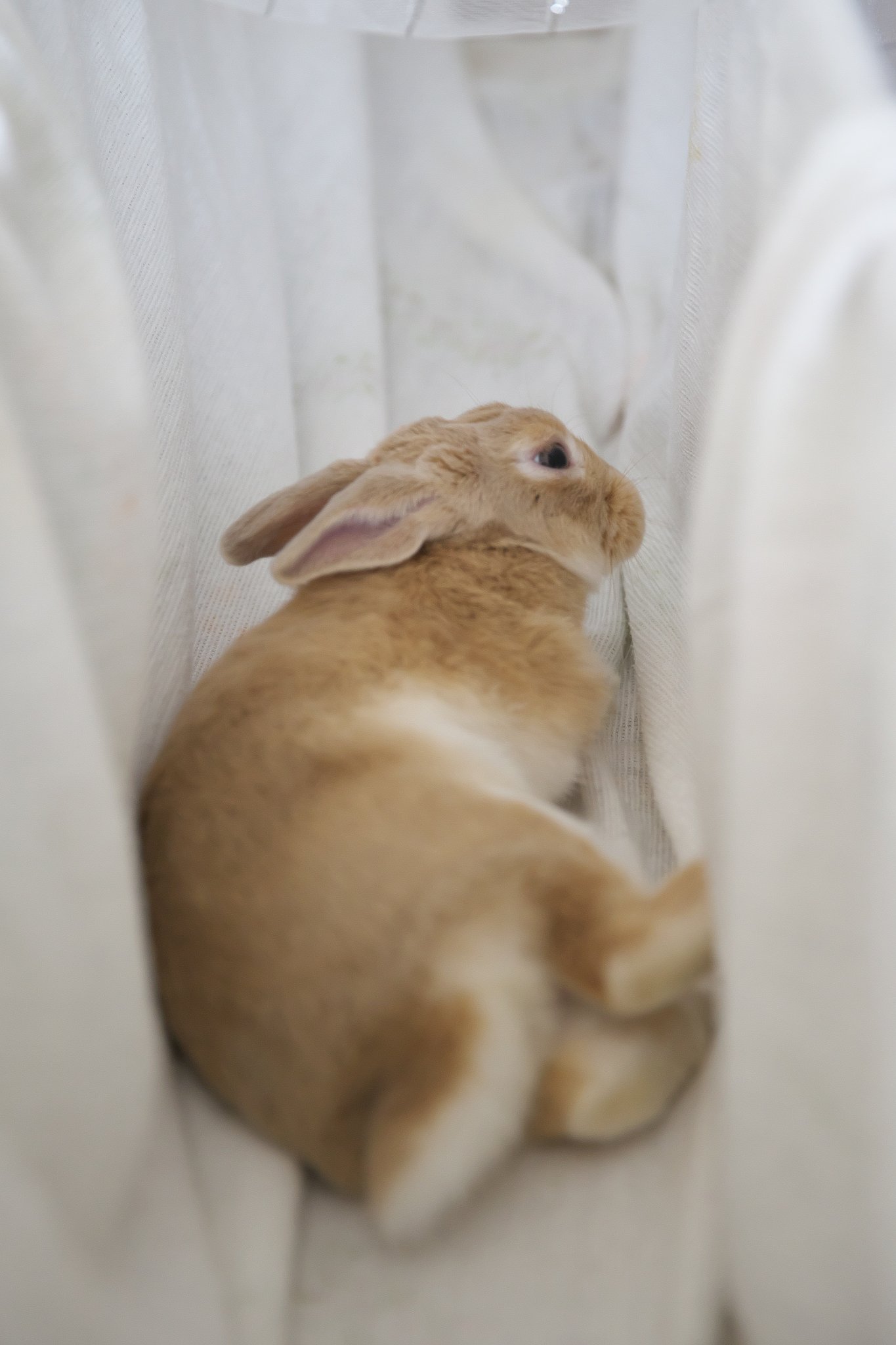 まったり