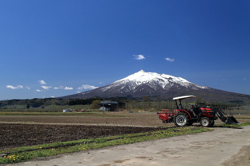 田起しの頃　岩木山