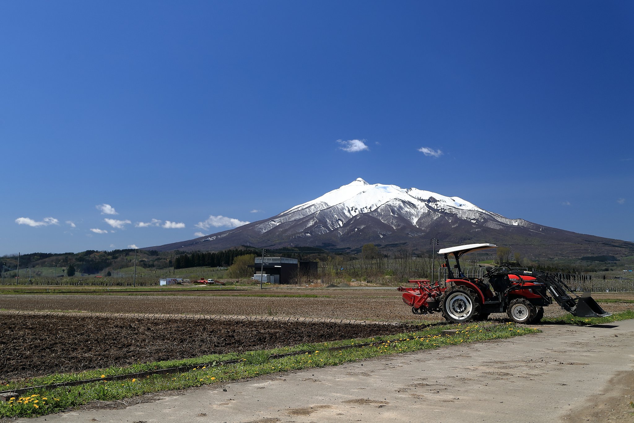 田起しの頃　岩木山