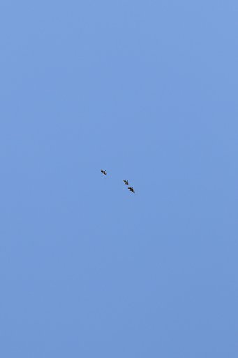 メッサーシュミット262　3機編隊上空通過中