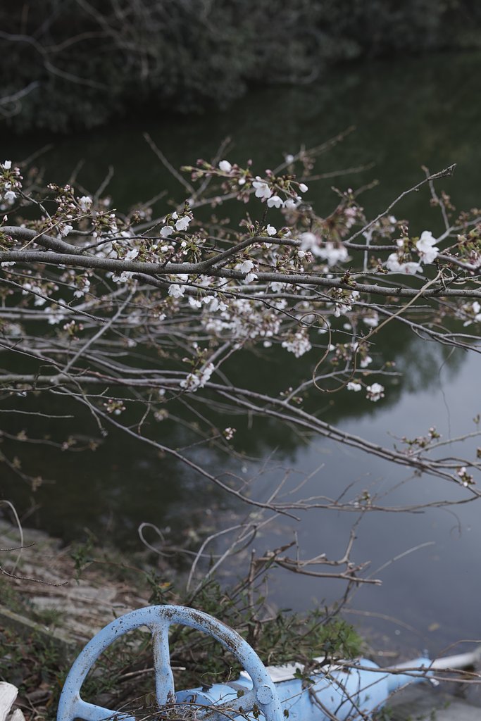 40ミリＦ1.4