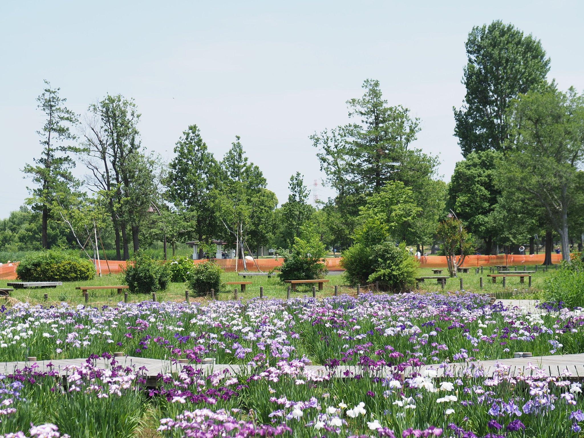 水元公園