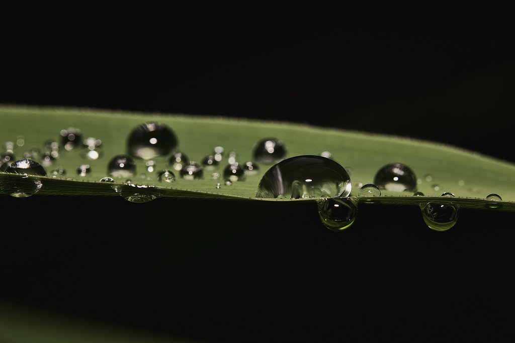 水滴