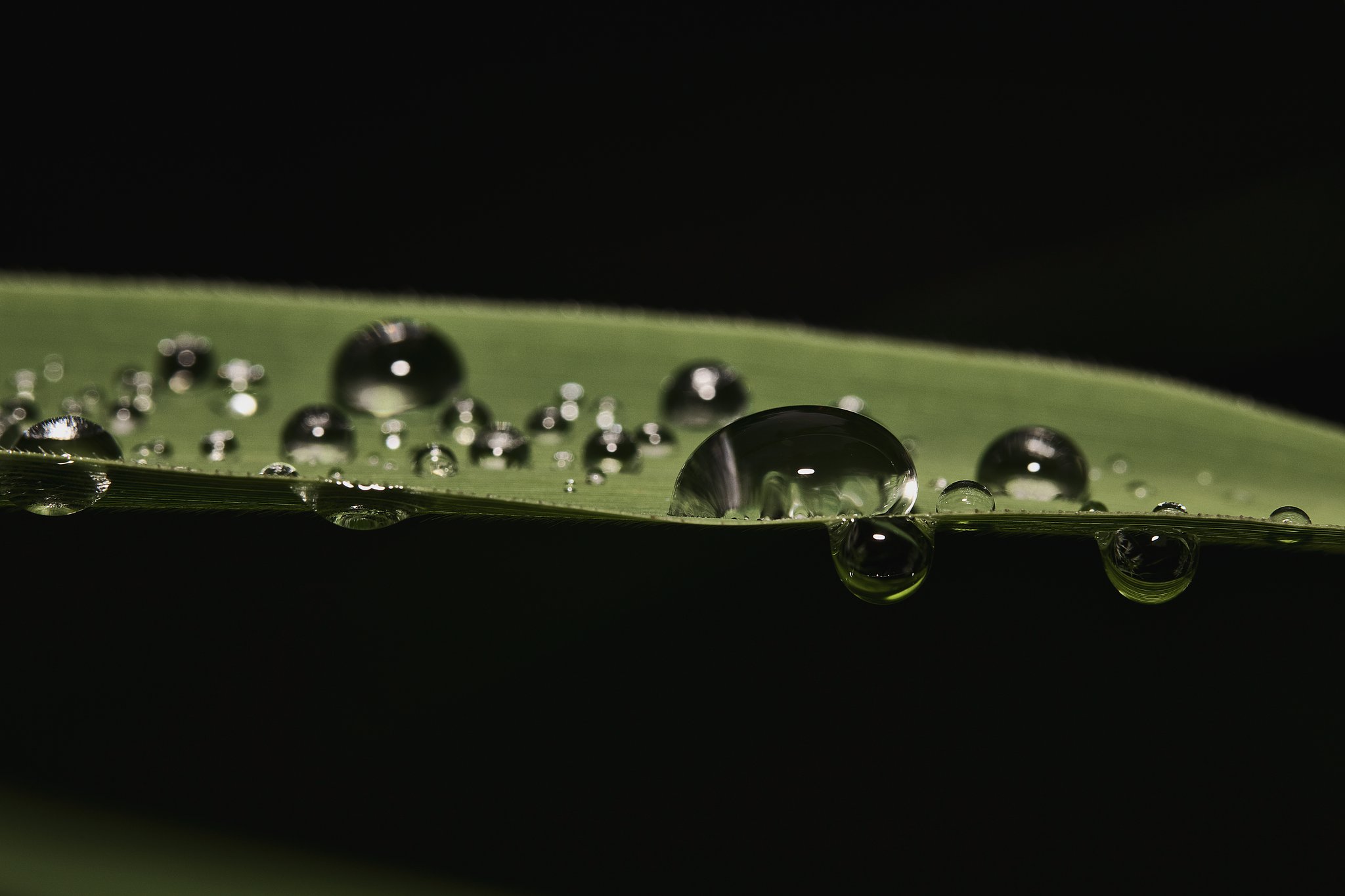 水滴