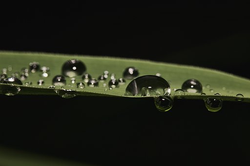 水滴