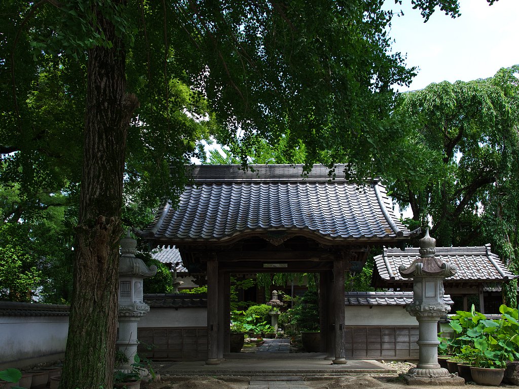 蓮寺