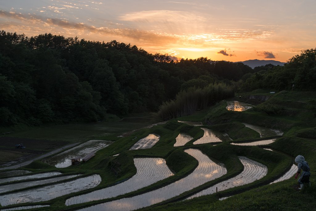 夕焼け