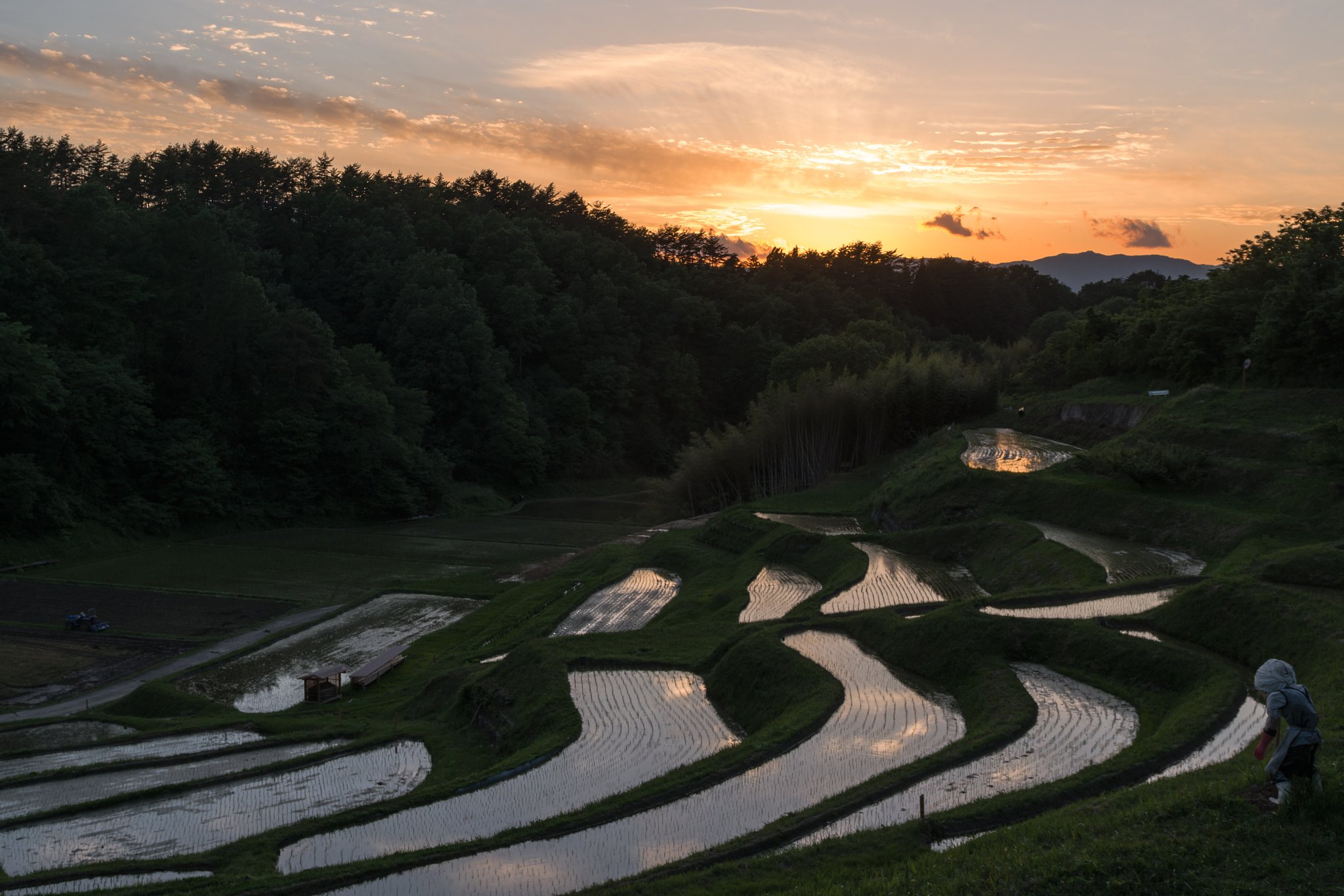 夕焼け