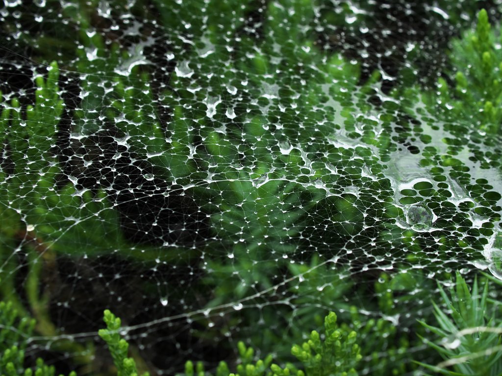 水滴