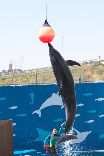 ジャ～ンプ