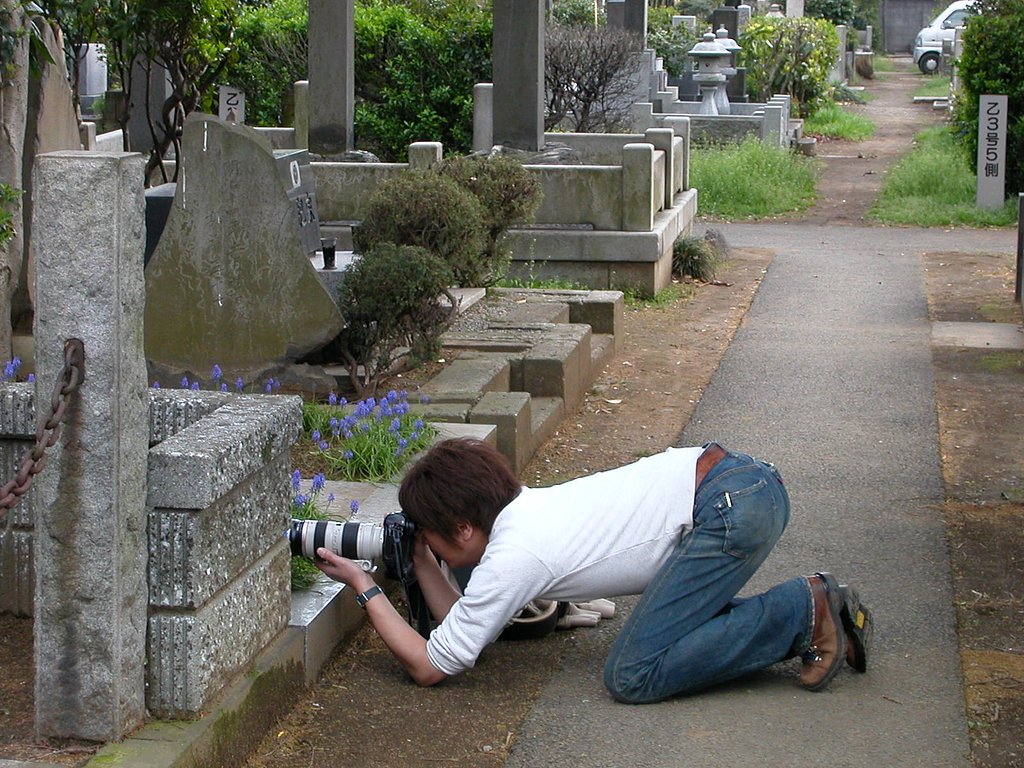 撮ってる鵜飼