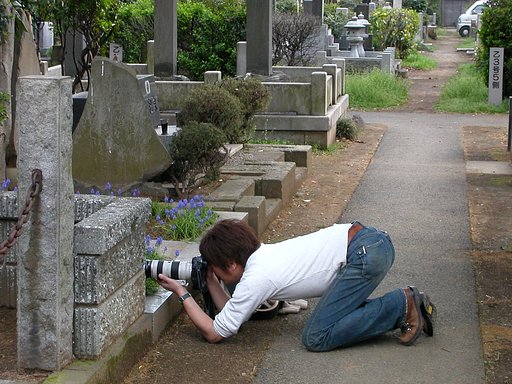 撮ってる鵜飼