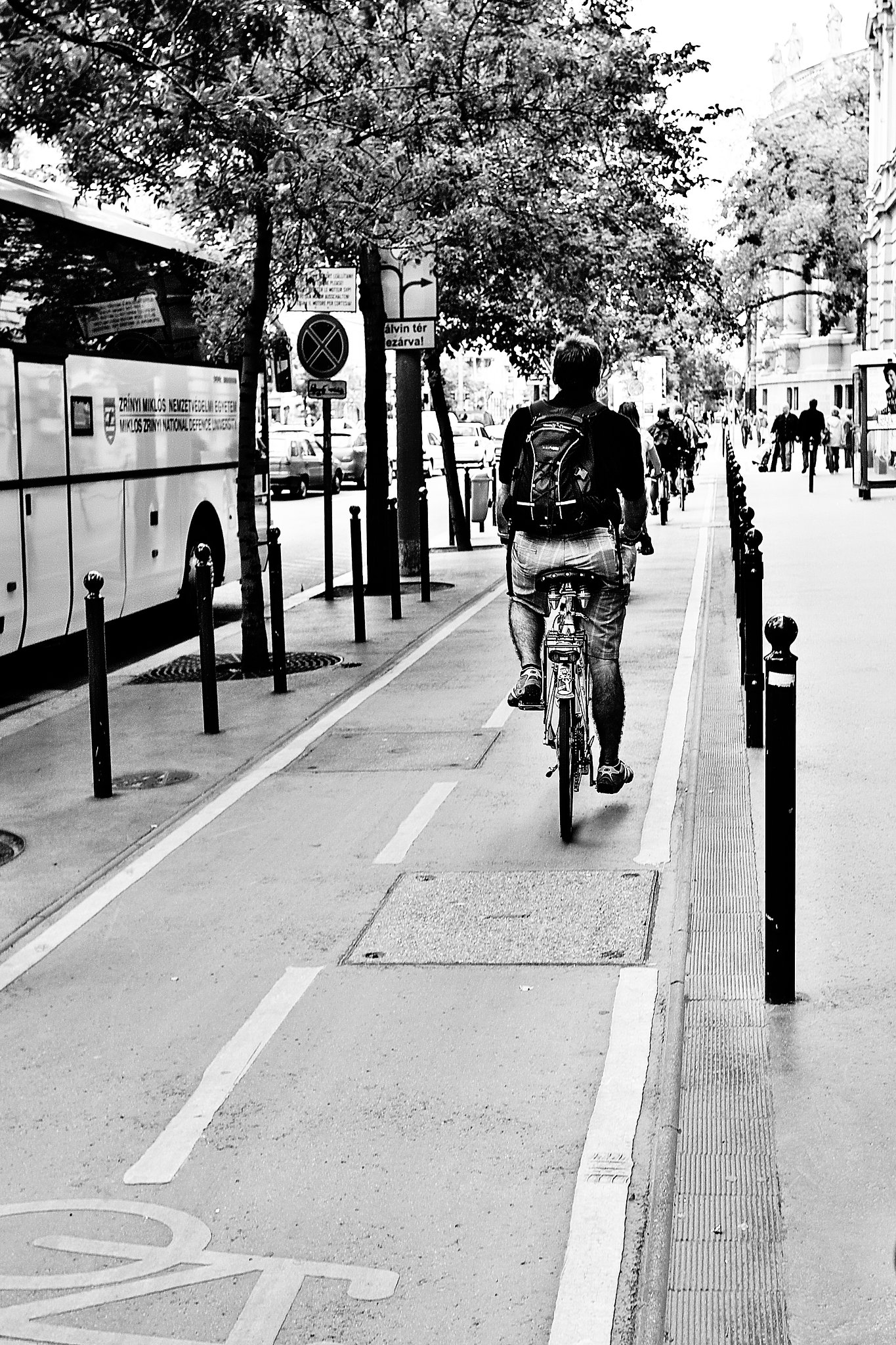自転車専用道路