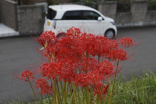 デジタルカメラとは《 1部 》