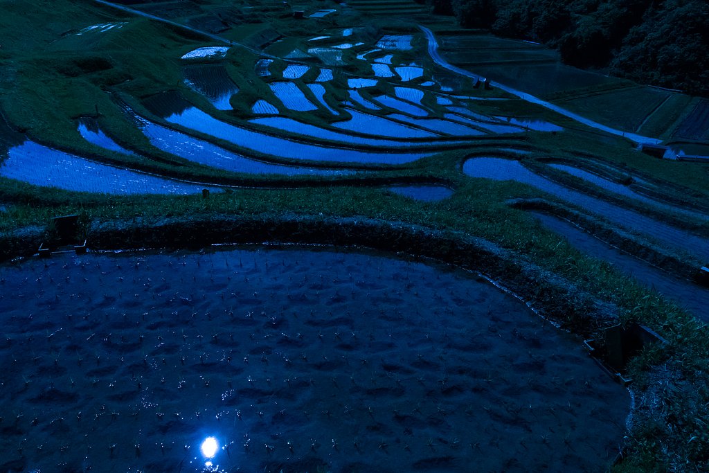 至福の夜