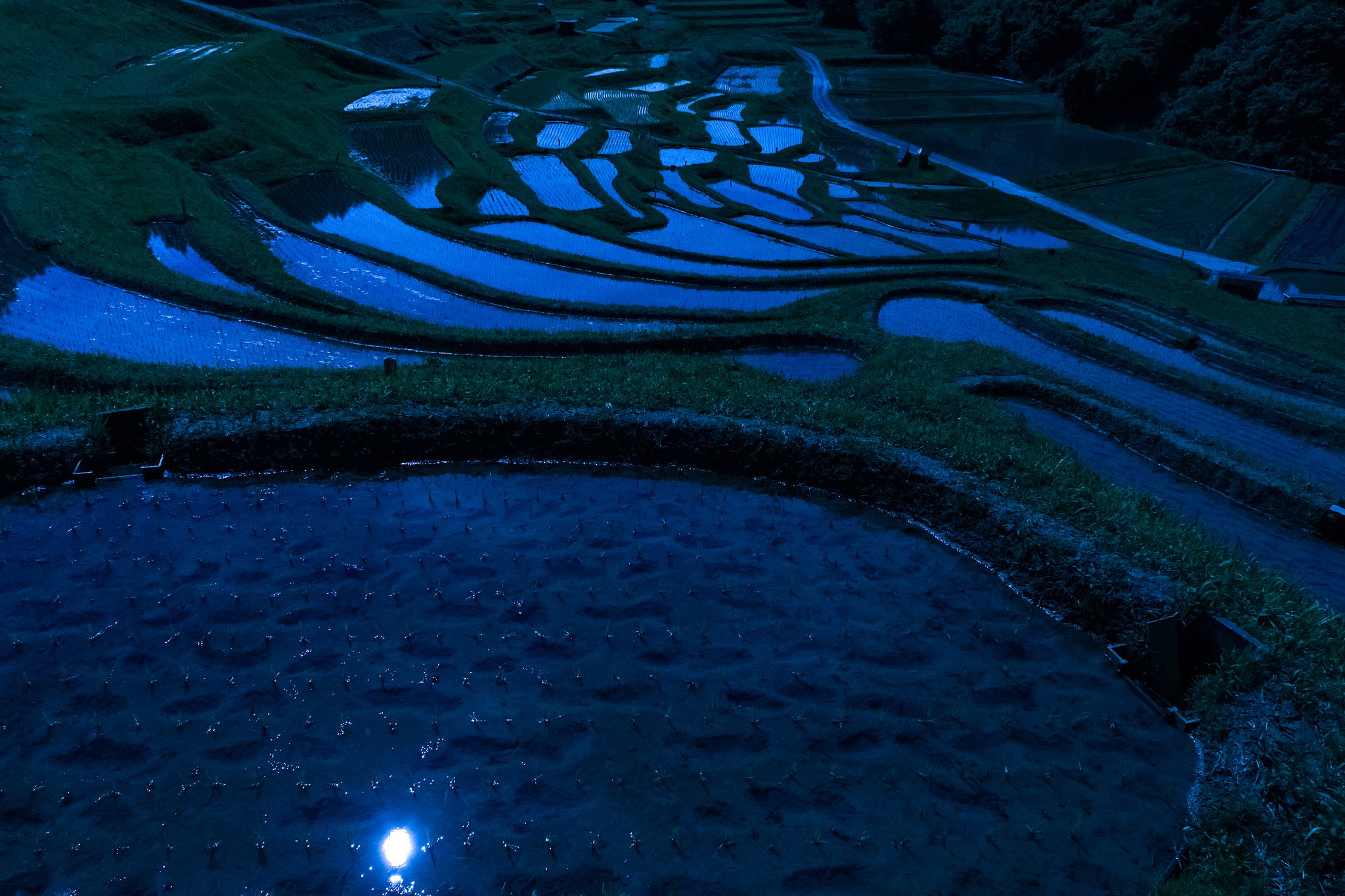 至福の夜