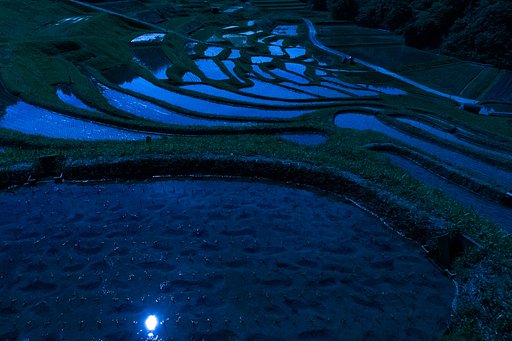 至福の夜