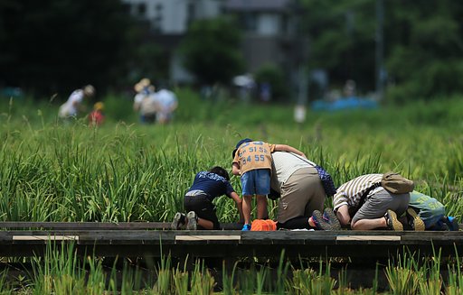 【夏】家族夏休み